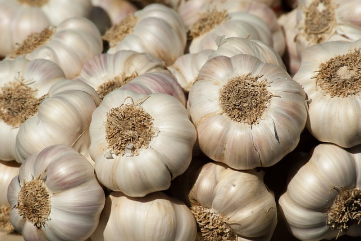 Garlic Benefits for Health – Healingpoint Alive
